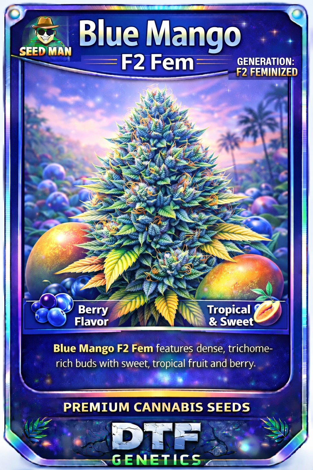 Blue Mango F2 Feminized DTF Genetics strain card