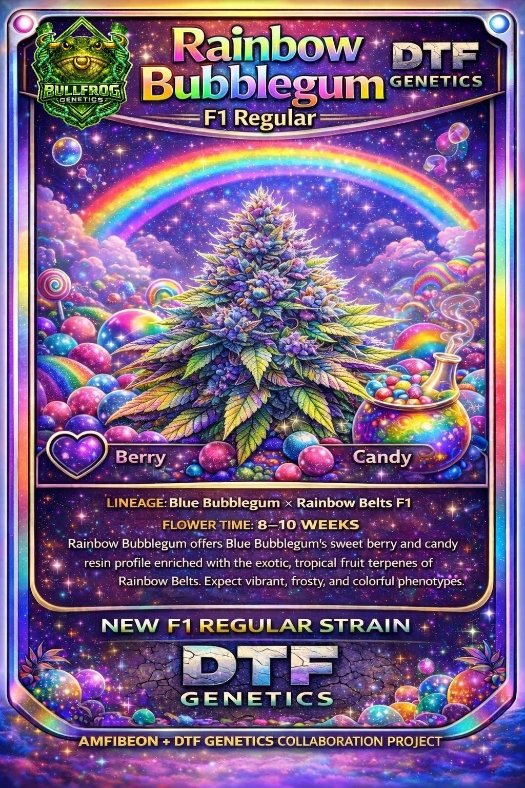 Rainbow Bubblegum F1 Regular DTF Genetics strain card