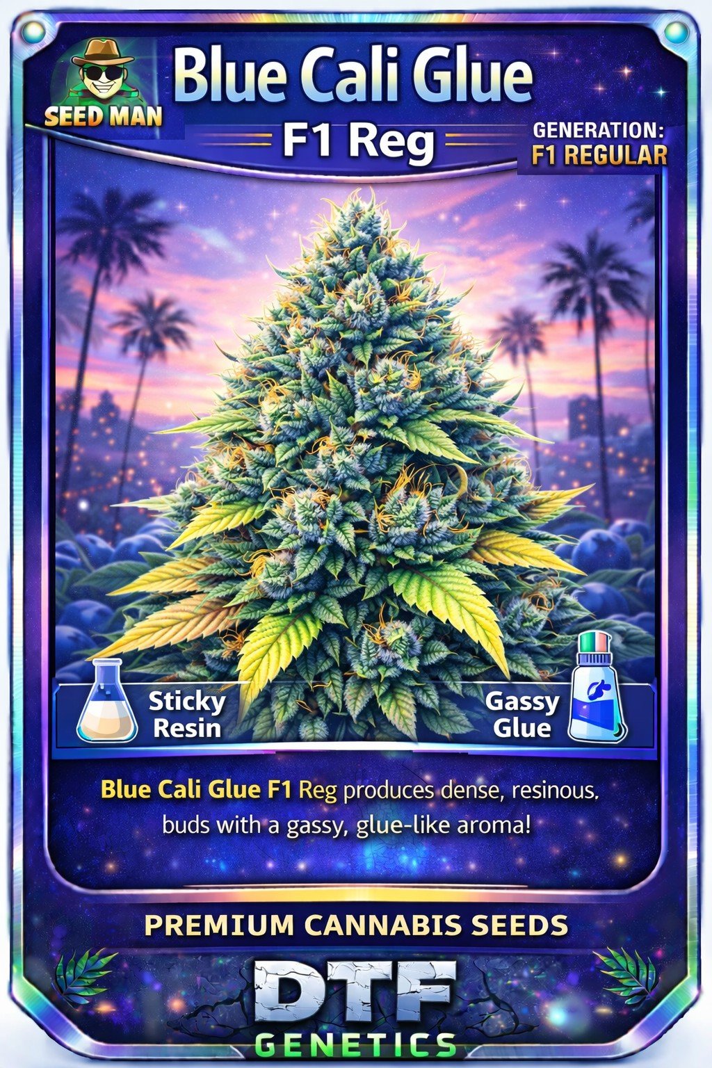 Blue Cali Glue F1 Regular DTF Genetics strain card