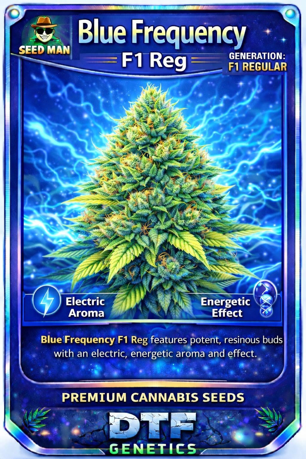 Blue Frequency F1 Regular DTF Genetics strain card