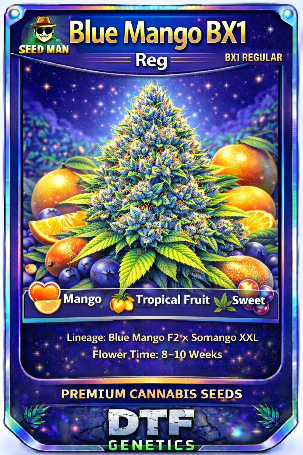 Blue Mango BX1 Regular DTF Genetics strain card