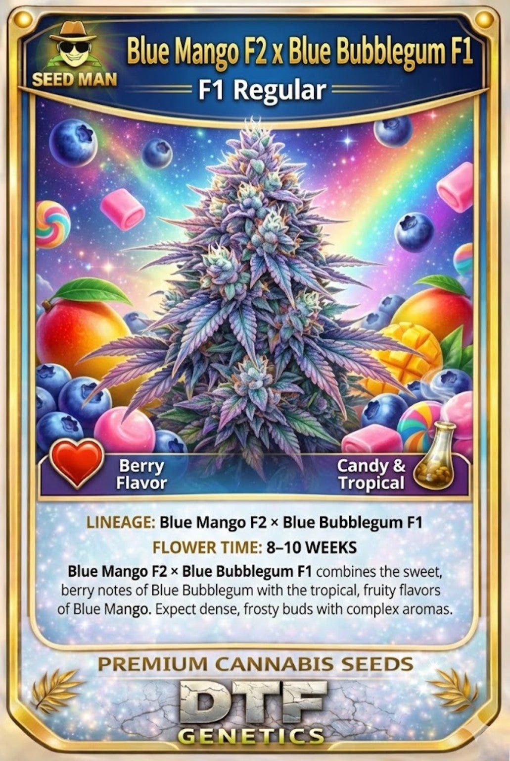 Mango Bubbles F1 Regular DTF Genetics strain card